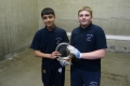 2019 Midlands U15 Doubles Plate winners from Derby Moor
