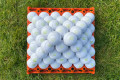 The new Wiseman ball