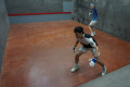 Dan T at the North West Open